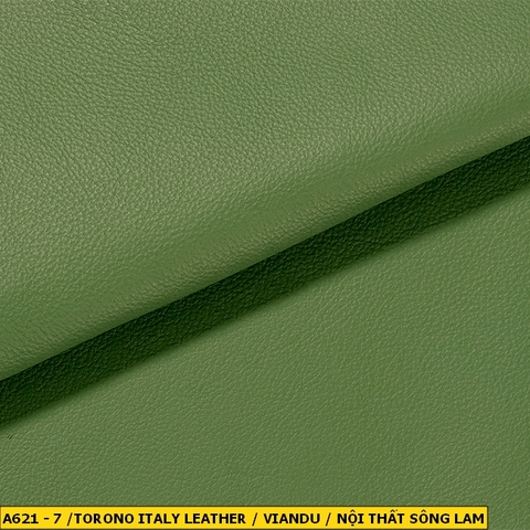 Torino Italy Leather