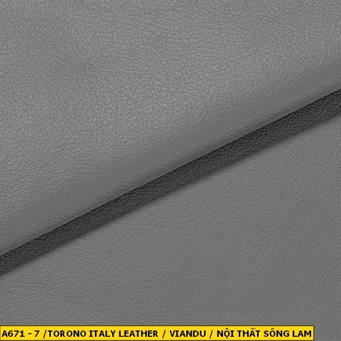 Torino Italy Leather