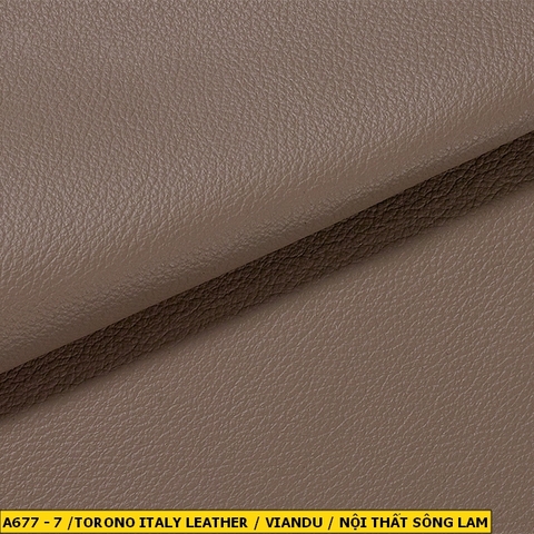 Torino Italy Leather