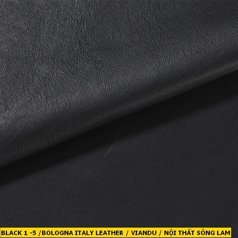 Bologna Italy Leather