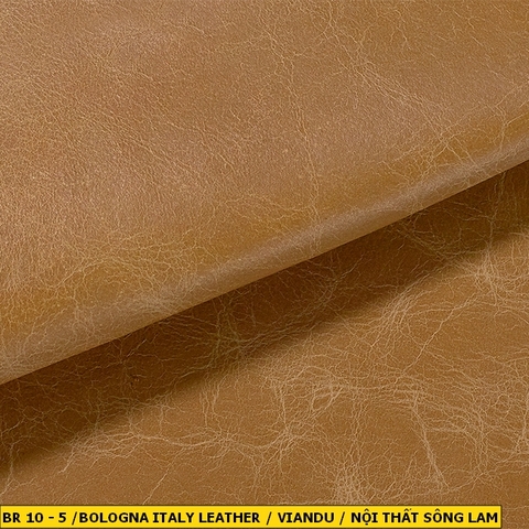 Bologna Italy Leather