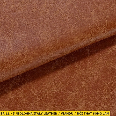 Bologna Italy Leather