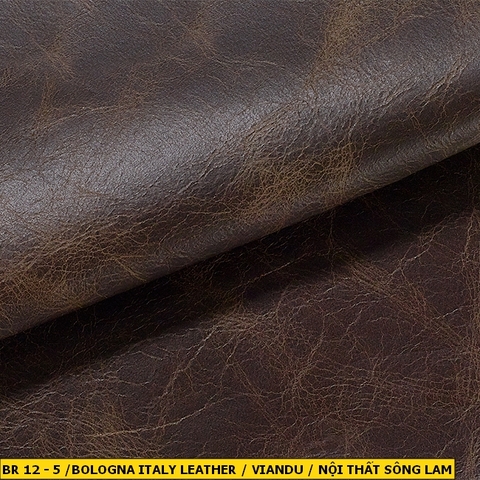 Bologna Italy Leather