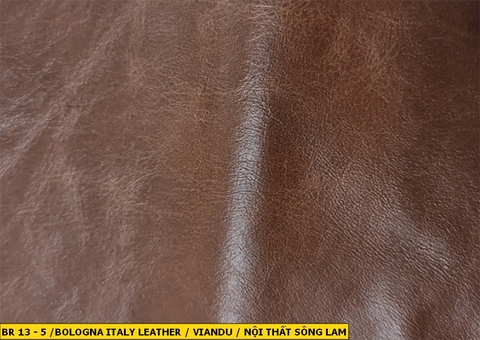 Bologna Italy Leather