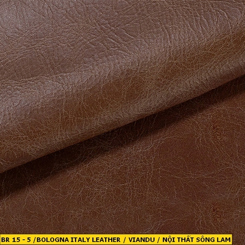 Bologna Italy Leather