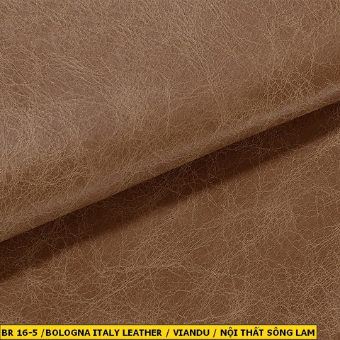 Bologna Italy Leather