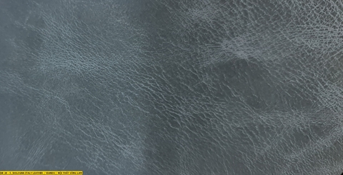 Bologna Italy Leather