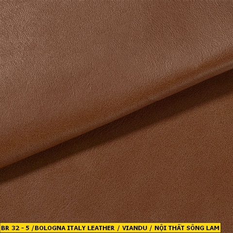 Bologna Italy Leather