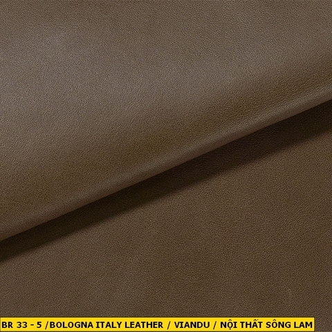 Bologna Italy Leather