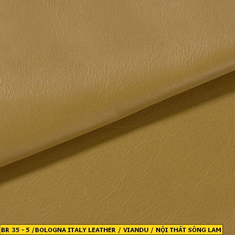 Bologna Italy Leather