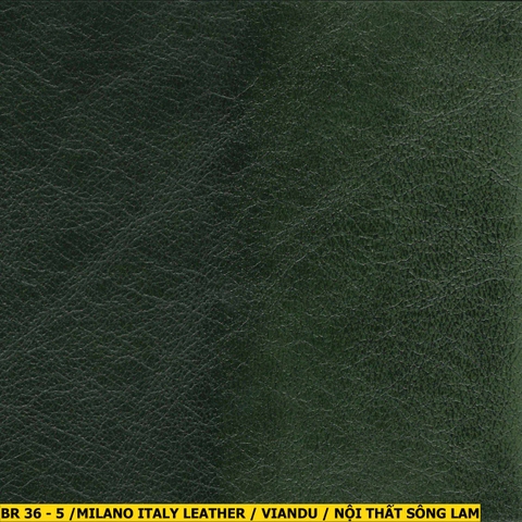 Bologna Italy Leather