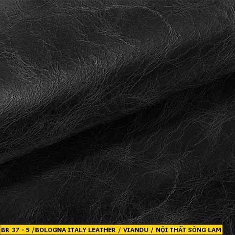 Bologna Italy Leather