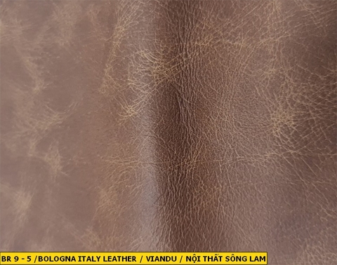 Bologna Italy Leather