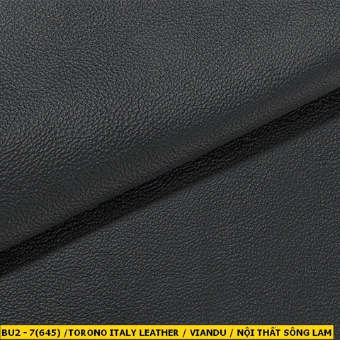 Torino Italy Leather