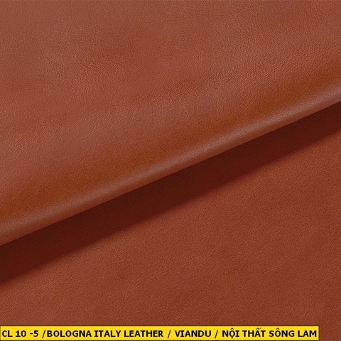 Bologna Italy Leather