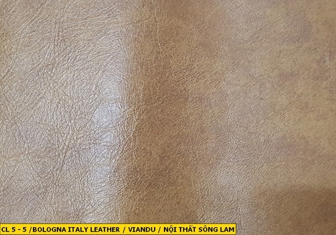 Bologna Italy Leather