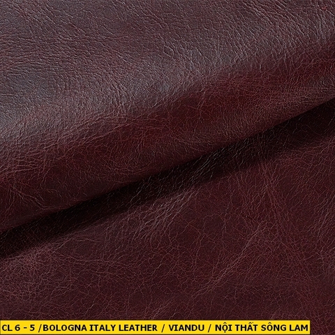 Bologna Italy Leather