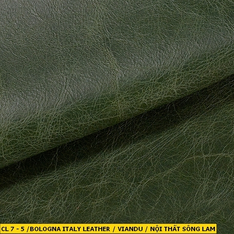 Bologna Italy Leather