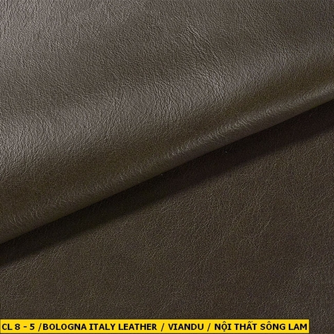 Bologna Italy Leather