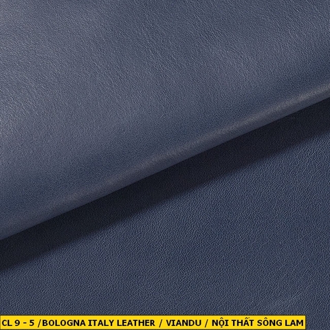 Bologna Italy Leather