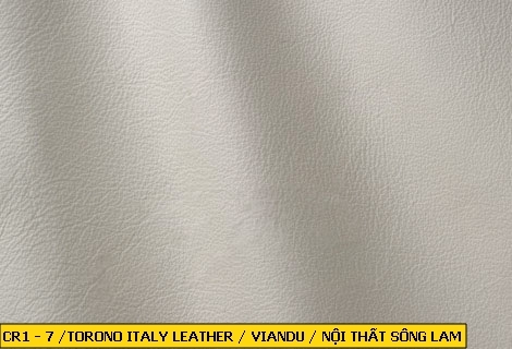 Torino Italy Leather