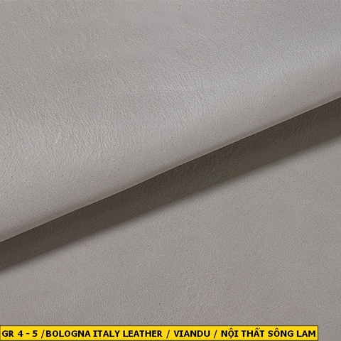 Bologna Italy Leather