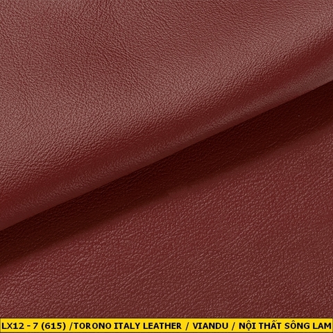 Torino Italy Leather