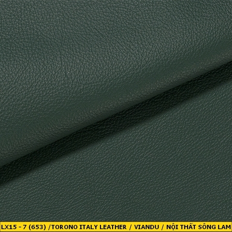 Torino Italy Leather