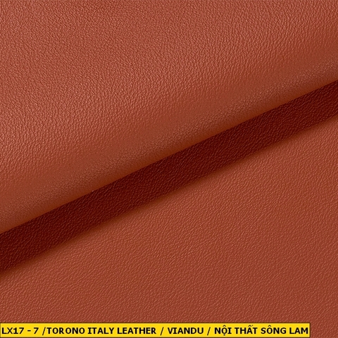 Torino Italy Leather