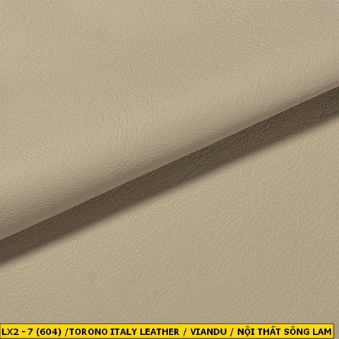 Torino Italy Leather