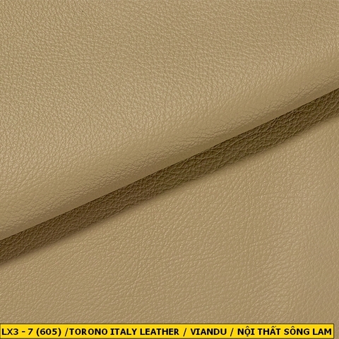 Torino Italy Leather