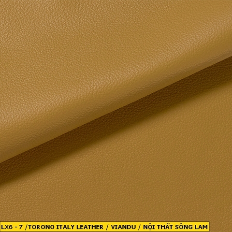 Torino Italy Leather