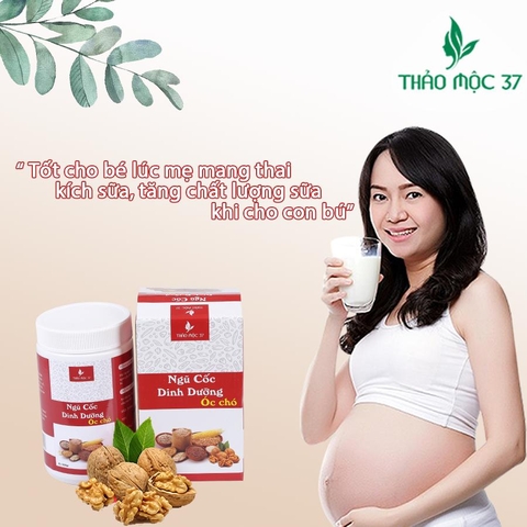 Ngũ Cốc Dinh Dưỡng Óc Chó  Thảo Mộc 37