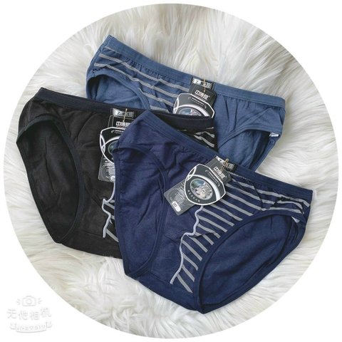 SỊP CHÉO COTTON CHÓ SÓI Z.B.L