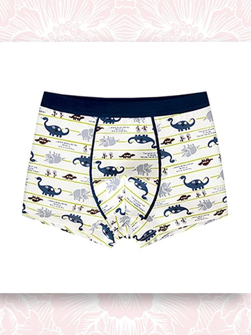 BỘ 4 QUẦN LÓT ĐÙI BÉ TRAI