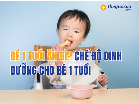 Bé 1 Tuổi Ăn Gì? Chế Độ Dinh Dưỡng Cho Bé 1 Tuổi