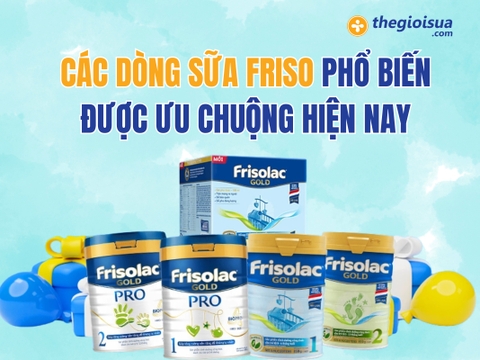 Các Dòng Sữa Friso Phổ Biến Được Ưu Chuộng Hiện Nay