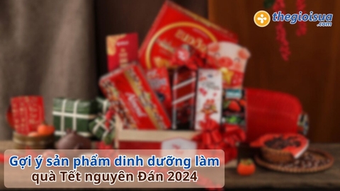 Gợi ý sản phẩm dinh dưỡng làm quà Tết 2024