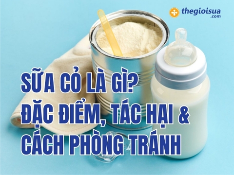 Sữa Cỏ Là Gì? Đặc Điểm, Tác Hại & Cách Nhận Biết Sữa Cỏ