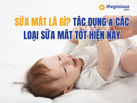 Sữa Mát Là Gì? Tác Dụng & Các Loại Sữa Mát Tốt Hiện Nay