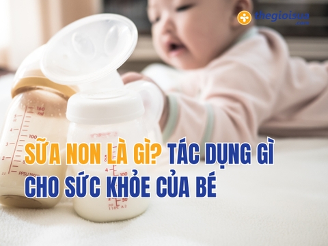 Sữa Non Là Gì? Tác Dụng Gì Cho Sức Khỏe Của Bé