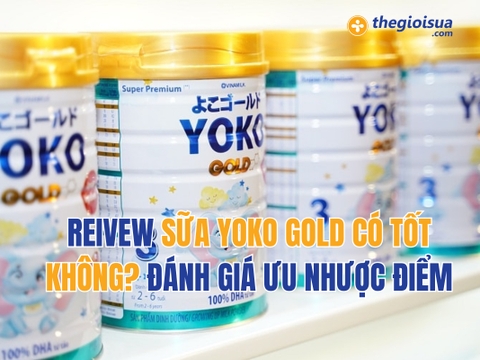 Reivew Sữa Yoko Gold Có Tốt Không? Đánh Giá Ưu Nhược Điểm