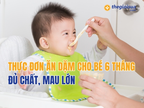 Thực Đơn Ăn Dặm Cho Bé 6 Tháng Đủ Chất, Mau Lớn