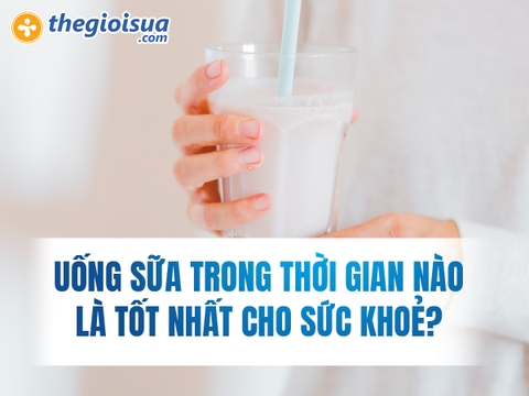 Uống Sữa Trong Thời Gian Nào Là Tốt Nhất Cho Sức Khoẻ?