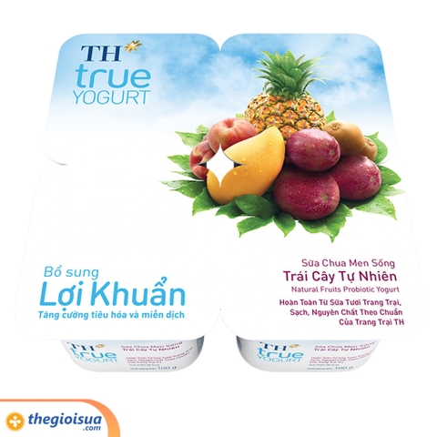 Sữa chua TH men sống Trái cây 100g