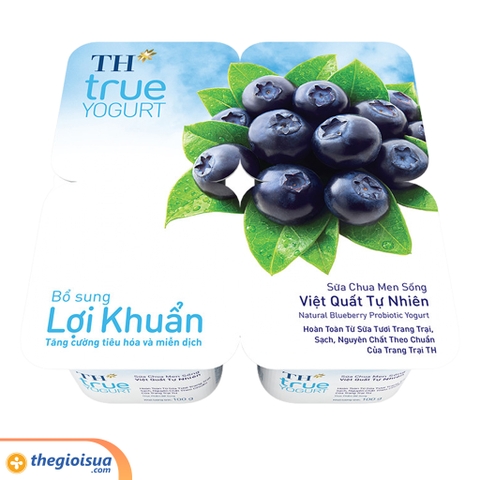 Sữa chua men sống TH True Yogurt Việt Quất tự nhiên 100g