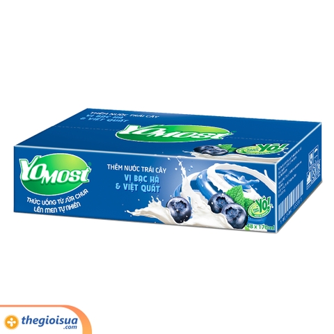Sữa chua uống Yomost Hương Bạc Hà Việt Quất 170ml