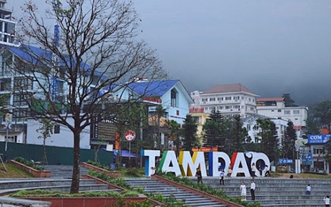 TAM ĐẢO TRONG SƯƠNG