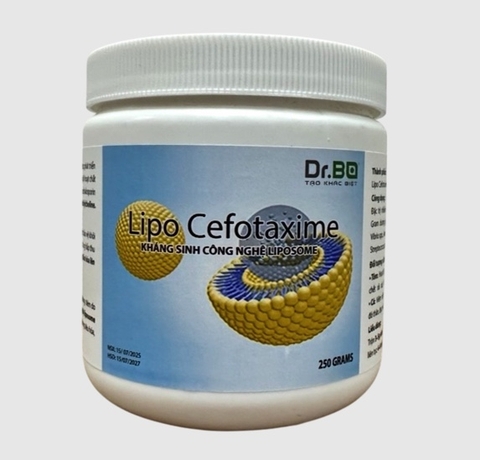 LIPO CEFOTAXIME - KHÁNG SINH CÔNG NGHỆ CAO