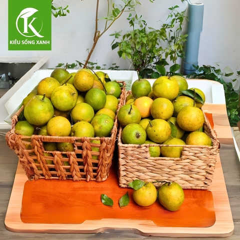 3KG Cam Xoàn Hữu Cơ Tươi Ngon - Hương Vị Độc Đáo (Set 3kg)